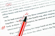 What aspects of English grammar are covered in the English grammar correction services?